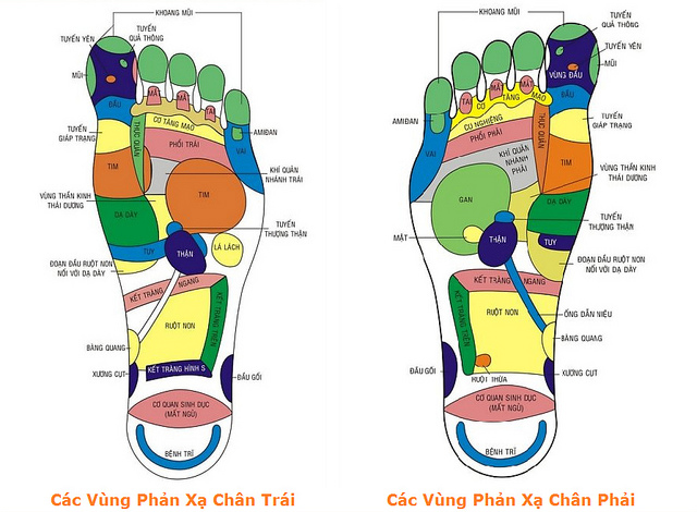 Chân là “trái tim thứ 2” của cơ thể cần được được bảo vệ và chăm sóc 